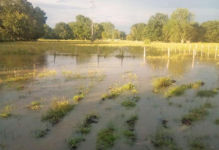 Pour bénéficier de l'Indemnité de solidarité nationale (ISN) en cas de sinistre climatique, la déclaration d'un interlocuteur unique est obligatoire, même en cas de prairies non assurées. Cet interlocuteur unique, qui est un assureur, aura en charge de gérer et de verser l'ISN.