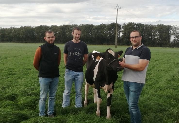 Yohann Lego, Bastien Lenoir, JBL VIA et Joachim Pasquier dans une parcelle du Gaec des Lys à Rahay.