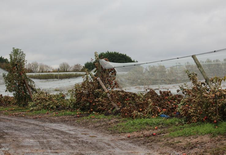 15 000 arbres fruitiers déracinés.
En haut à droite, Patrick Tessier, président de la Sica Gerfruit à Chenu, et Annie Genevard, ministre de l'Agriculture.