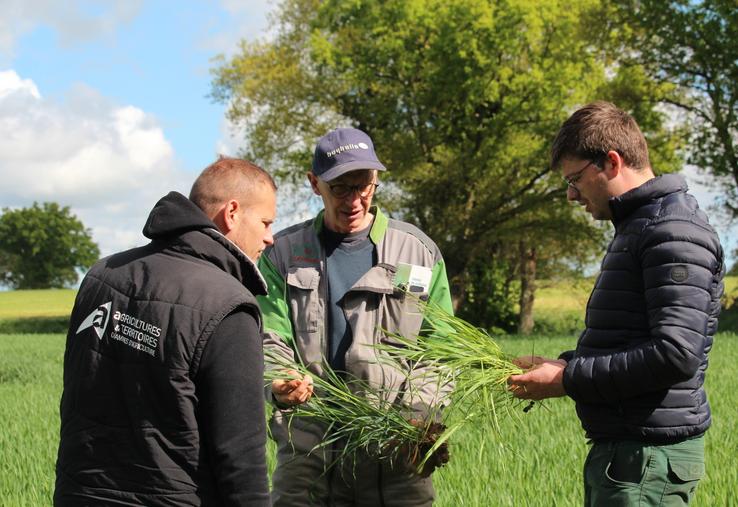 Cédric Gillet, à droite, jauge les feuilles de blé d'une parcelle de Gilles Huyghe le 17 avril. En haut, avec le N-Tester.