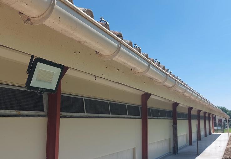 Installation des luminaires sur les bâtiments de volailles.