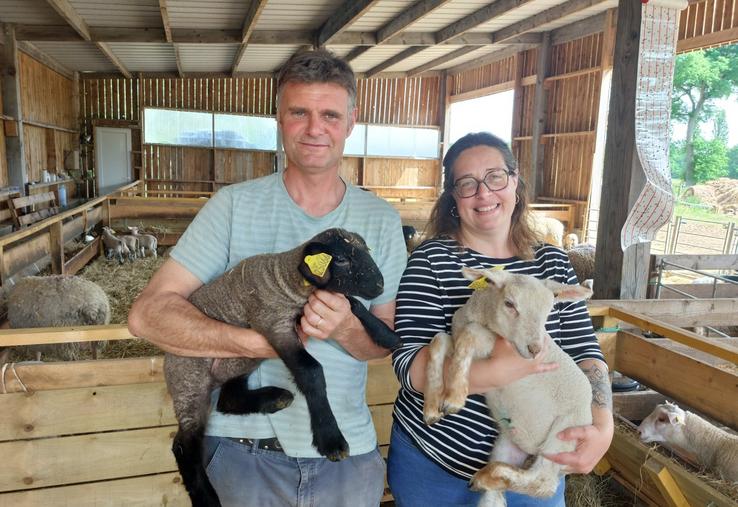 Jérôme et Nathalie Baillif, dans leur bâtiment dédié aux agnelages, ici avec des agneaux de race Suffolk (le noir) et Romane (le blanc).