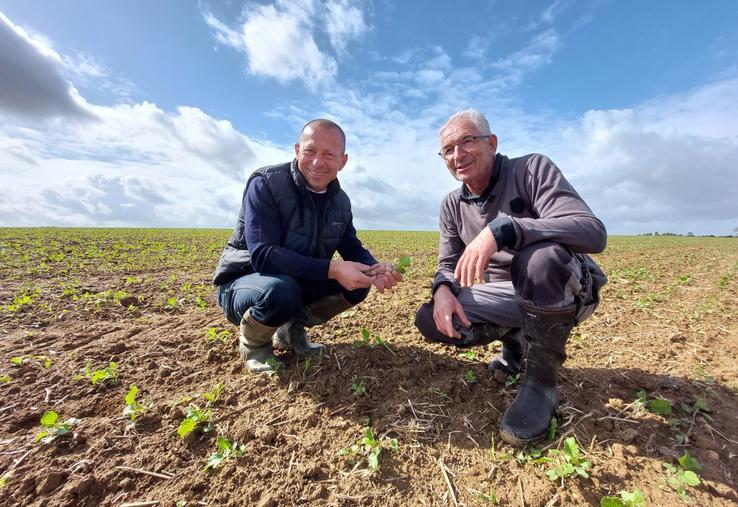 Franck Plessis (à g.) visitait une parcelle de colza de son client Denis Provost (à dr.), aux Mées, le 11 septembre.