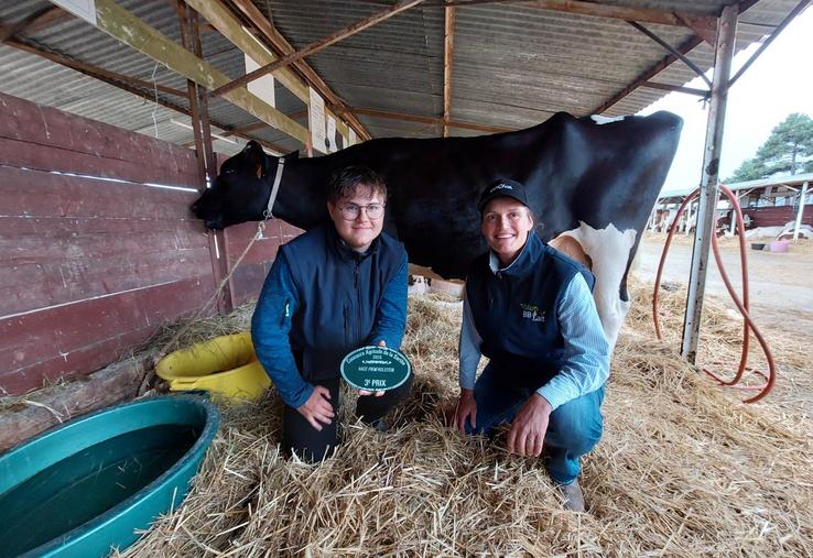 Noah Rouilier, stagiaire chez Sylvia Delangle, éleveuse laitière à Torcé-en-Vallée, a travaillé tout l'été pour préparer la vache Rockeuse.