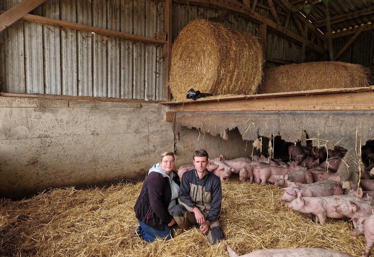Alexandre Manceau, installé à Mareil sur Loir, avec sa conjointe Laura Plet dans l'élevage de porcs Label.