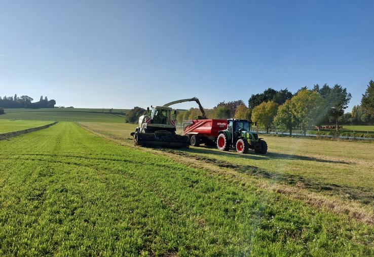 Les conditions étaient optimales pour le chantier d'ensilage, par un temps lumineux et sur sol égoutté.