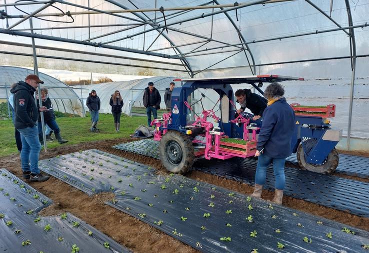L'enjambeur Romanesco a été testé avec 2 lits pour le repiquage de la mâche.