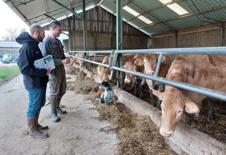 Jean-Baptiste Tertrain (à g.) suit l'élevage de Pierre Renou (à dr.) dans le cadre du réseau Inosys.