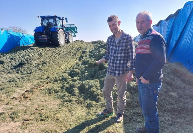 Aurélien Huon et son père Jean-François ont déplacé l'ensilage d'herbe dans l'ancien silo à maïs, qui offre une plus grande largeur. La famille avait mobilisé le 19 mars l'ensileuse détenue en copropriété par la Cuma des Sources et la Cuma de Chavaignes pour un chantier de 45 ha.