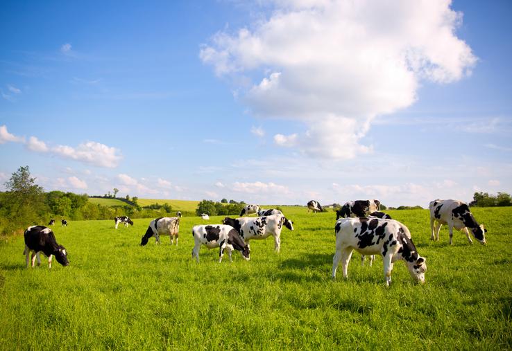 L'idée de ce texte est " de partir du terrain pour revenir au terrain " a assuré un proche de la ministre de l'Agriculture.