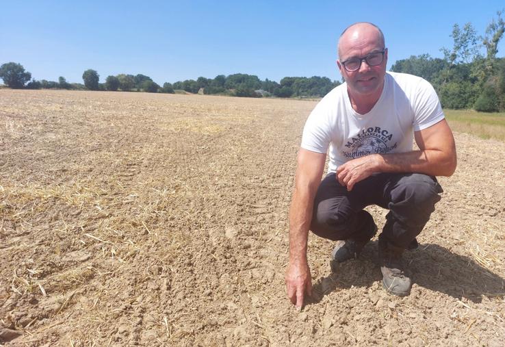 Franck Cormier dans sa parcelle de 5 ha de sorgho semé le 16 juillet après l'orage.
