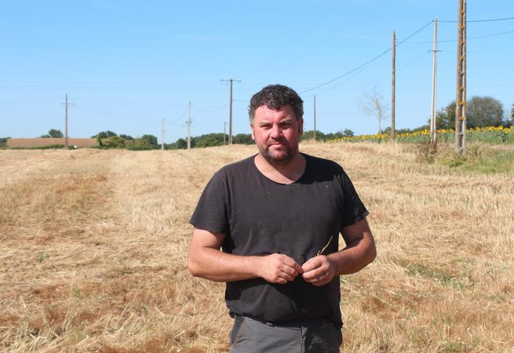 Guillaume Guérineau, sur la parcelle moissonnée de féverole-blé. Le battage a eu lieu en fin de semaine dernière.
