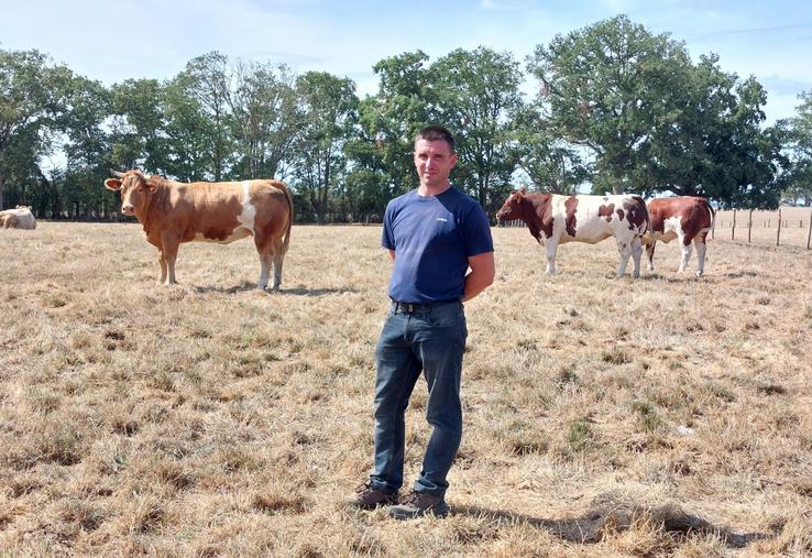 Arthur Plet emmènera 12 génisses au Festival de la Viande d'Evron.