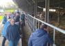 Les adhérents au syndicat de la race saosnoise sont allés visiter l'élevage de Lucas Paris, à Saint-Martin-des-Monts, hier après-midi.