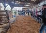 Les adhérents au syndicat ont visité l'élevage de Stéphane Touchard, à la Pichoirie à Vaas.
