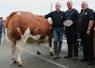 La SCEA Moncellière est rentrée en Maine-et-Loire avec le championnat inter-races femelles grâce à cette Rouge des Prés.