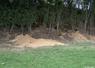 Garennes de blaireaux envahissant un talus. A droite : dégâts de blaireau sur du maïs pouvant aller jusqu'à plusieurs hectares. Terrier de blaireau au milieu d'une parcelle de blé.