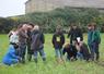 Dans une parcelle de féverole/phacélie mulchée au printemps. Des élèves de BTS du lycée Val de Sarthe étaient présents.