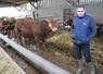 Julien Leballeur soigne 80 jeunes bovins mâles et femelles sous son bâtiment dédié à l'engraissement. A droite : les mères sont logées sous un bâtiment de 2017, et l'aliment est distribué à l'aide d'un télescopique muni d'un godet.