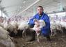 Vivien Chauvelier élève des volailles de chair et des poules pondeuses pour l'OP Huttepain à Lamnay.