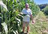 Emmanuel Froger produit du maïs grain irrigué sur 30 ha avec deux variétés : DK4416 et P9975. Ses maïs sont prometteurs alors que le sixième tour d'eau vient d'être réalisé.