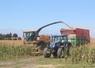 Ensilage le 26 août chez Julien Ménager.