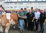 L'élevage Houlbert, de la Sarthe, a remporté le titre de Grand champion en inter races mâles avec un Rouge croisé Saosnois de 38 mois né chez lui.