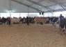Défilé des races bovines et interpellation de la FDSEA sur le Mercosur lors de la visite officielle des 4 jours du Mans.