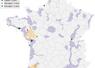 Localisation des foyers de « volailles », foyers chez les oiseaux captifs et cas sauvages détectés en France métropolitaine depuis le début de la saison (le 01/08/2025) et sur les quatre dernières semaines. Les zones à risque particulier (ZRP) et zones à risque de diffusion (ZRD) sont représentées respectivement en violet et jaune sur le fond de carte (source : Commission européenne ADIS le 20/10/2025).