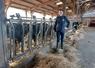 Flavien Engoulvent s'est installé en juillet 2024 avec 65 vaches au robot.