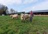 Quentin Hautreux a engagé 3 taureaux à la vente lors de la journée Mise à l'herbe Charolaise. Il ouvre les portes de son exploitation ce samedi 21 mars.