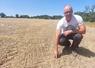 Franck Cormier dans sa parcelle de 5 ha de sorgho semé le 16 juillet après l'orage.