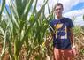 Céréalier à Cures, François Drouet a vendu sa parcelle de maïs grain à un éleveur.
