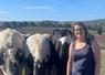 Emeline Denis, agricultrice à Saint-Georges-le-Gaultier : du milieu médical à la passion de la terre.