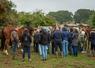Le 20 octobre, l'IFCE a organisé une journée technique d'échange et de restitution du projet EUnetHorse, à Courcemont. Une visite de l'exploitation de Sophie et Hervé Dugué était prévue l'après-midi.