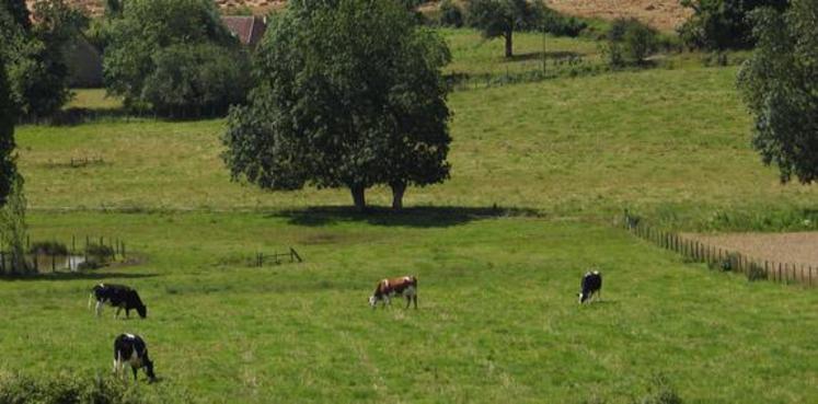 Les agriculteurs sont notamment invités à publier des photos de leurs activités sur Twitter avec #MonElevageMonPaysage72.