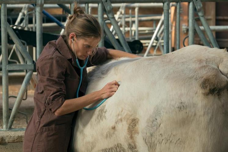 Noémie Schmidt dans le rôle d’Alexandra, une vétérinaire fraîchement diplômée destinée à la recherche.