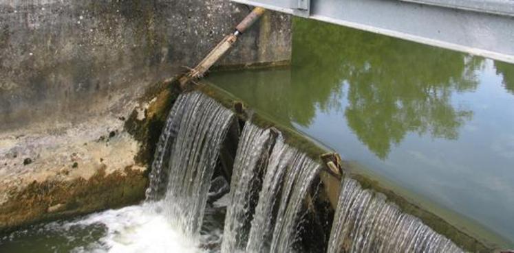 " Avec seulement 11% des cours d’eau et nappes souterraines en bon état, la Région Pays de la Loire se situe en dernière place au sein du bassin Loire-Bretagne, indique le communiqué de la préfecture. La Sarthe, avec 25% de ces mêmes masses d’eau en bon état, reste dans une situation que nous devons améliorer. "