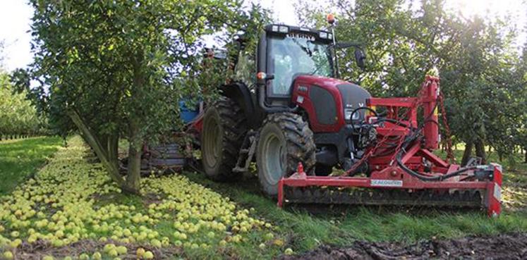 Agrial estime que sa récolte atteindra 125 000 T de pommes cette année.