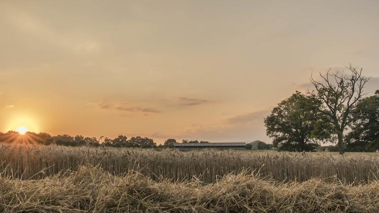 Le coucher de soleil d'Emilie Hercé, conseillère élevage, a remporté le 1er prix du concours photo.