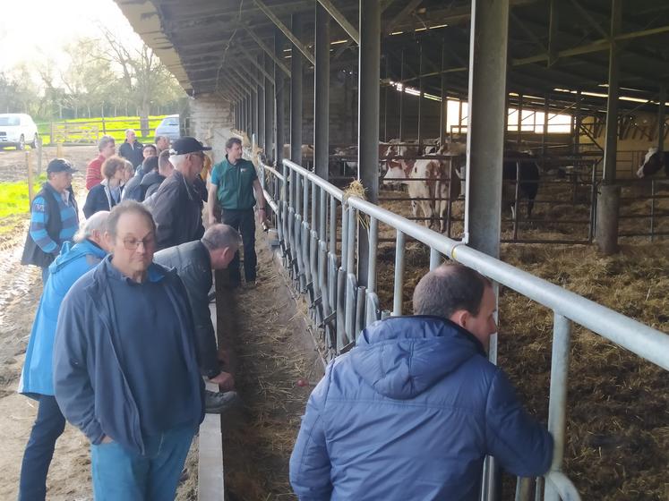 Les adhérents au syndicat de la race saosnoise sont allés visiter l'élevage de Lucas Paris, à Saint-Martin-des-Monts, hier après-midi.