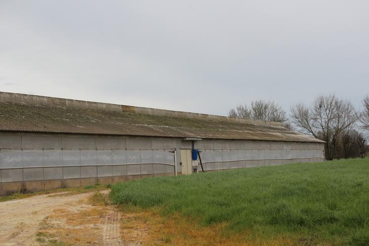 Le bâtiment fait 1 200 m2, adapté à 2 000 dindes.