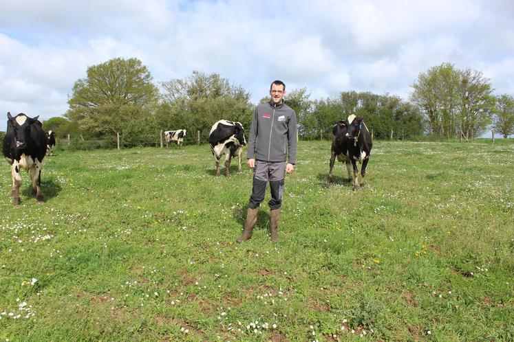 Les vaches de Cyril Lemaître disposent de 7 ha de pâturage accessible toute l'année depuis la stabulation.