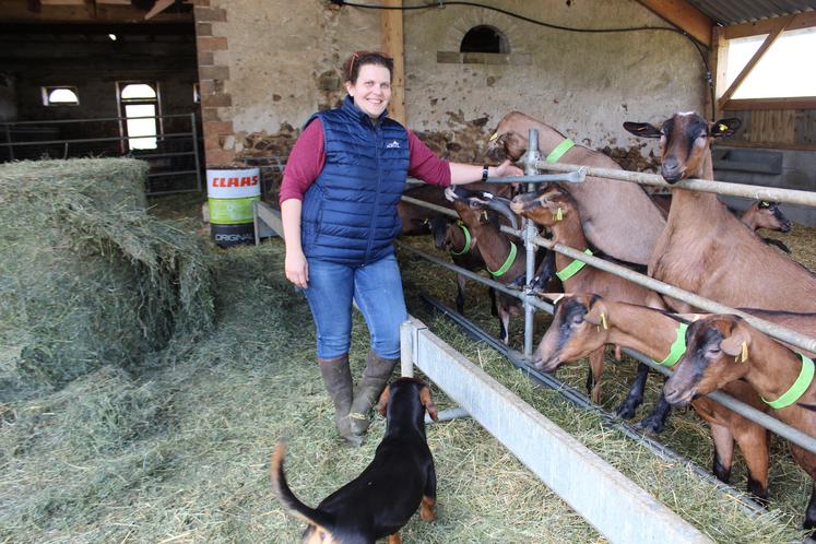 Sophie Chauvin a créé une extension en bois de sa chèvrerie pour monter son cheptel à 50 chèvres.