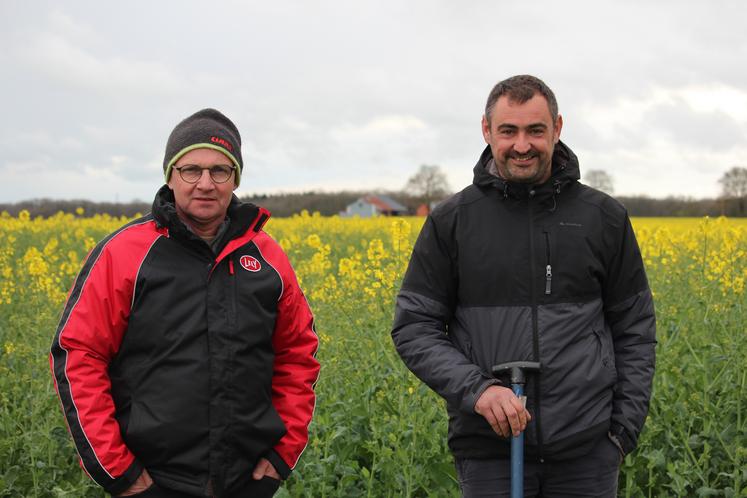 Eric Chauvin et Jérémy Despins, du Gaec des Vaches ensoleillées, à Ruillé-sur-Loir, conduisent un troupeau de 70 VL et une SAU de 200 hectares, dont 125 ha de blé, orge, colza, pois, 35 ha de maïs et 30 ha de prairies.