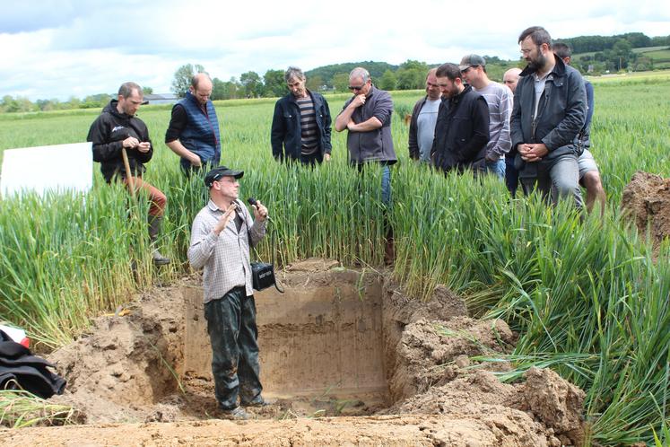 Denis Piron a ouvert 2 fosses pédologiques révélant des sols hydromorphes.