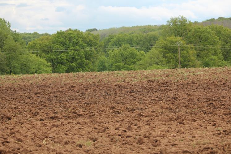 Les terres sont prêtes pour les semis mais la météo est capricieuse cette année. Les agriculteurs sont dans les starting-blocks.