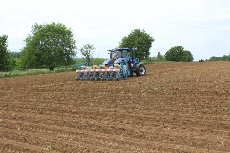 Fabien Lecroc a emblavé 8 ha au semoir monograine, d'une variété ensilage.