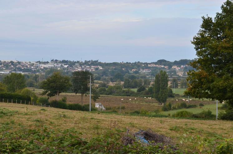 Le respect de la BCAE 8 n'est plus conditionné à la mise en place de 4% de jachères, plantes fixatrices d'azote ou dérobées