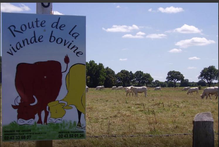 La Route viande bovine, née en 2010, est unique en Sarthe.